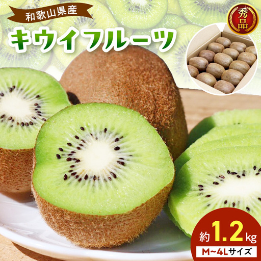 【2027年1月下旬から順次発送】和歌山産　キウイフルーツ　約1.2kg　秀品_BL6175