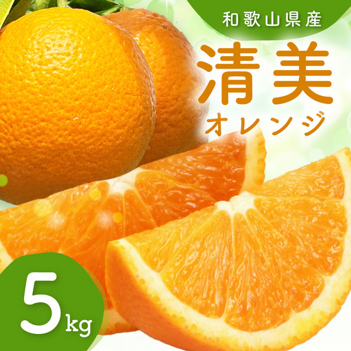 訳ありご家庭用清美オレンジ約5kgサイズ混合[1317-1]