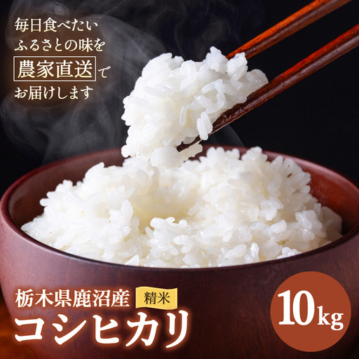 令和7年度産 コシヒカリ 精米 10kg | 白米 米 お米 こしひかり 農家直送 栃木 鹿沼市