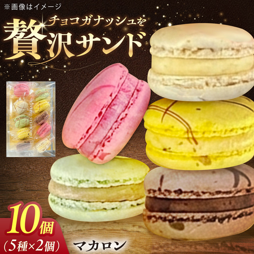 マカロン 10個  お菓子 愛西市 / 有限会社モンシェリー 【配達不可：離島】[AEBB019]