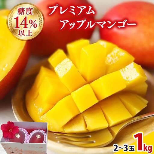 [2027年夏発送][先行予約]プレミアム アップルマンゴー!1kg箱(2〜3玉)