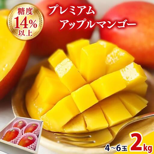 【2026年夏発送】【先行予約】プレミアム アップルマンゴー！2kg箱(4～6玉)