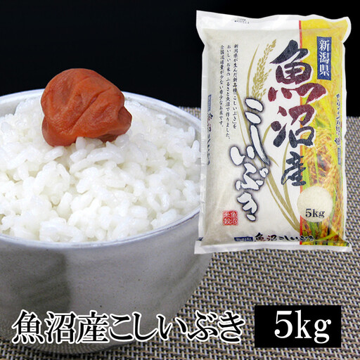 お米マイスター厳選！8年産魚沼産こしいぶき　５kg  2026年9月下旬頃より発送開始 