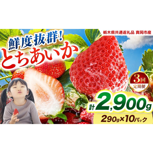  【2027年先行予約】〔定期便3回〕鮮度抜群 いちご とちあいか 290g×10P【栃木県共通返礼品 真岡市産】 栃木県矢板市
