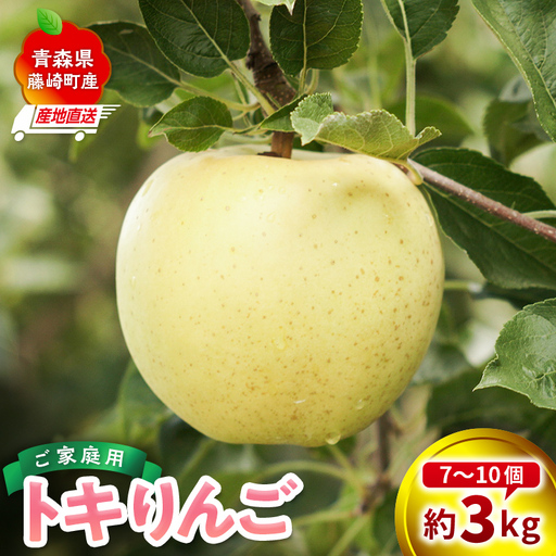 ＜産地直送＞ 訳あり トキ 約3kg (7〜10個) 【前田農園】 青森りんご  F41-0084