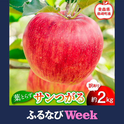 [ふるなびWEEK対象][先行予約] ≪訳あり≫ 葉とらず サンつがる 約2kg [グランドアップル] 青森りんご