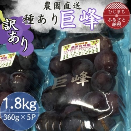 【訳あり】巨峰(種あり)360g×5パック【配送不可地域：離島】【1731656】