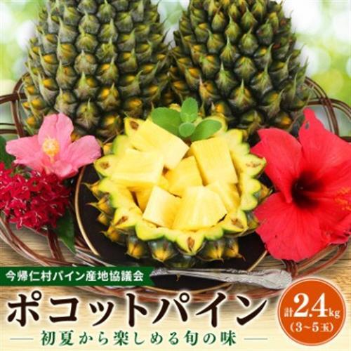 [2027年5月中旬から順次発送]今帰仁村パイン産地協議会 ポコットパイン2.4kg(3〜5玉)[配送不可地域:離島]