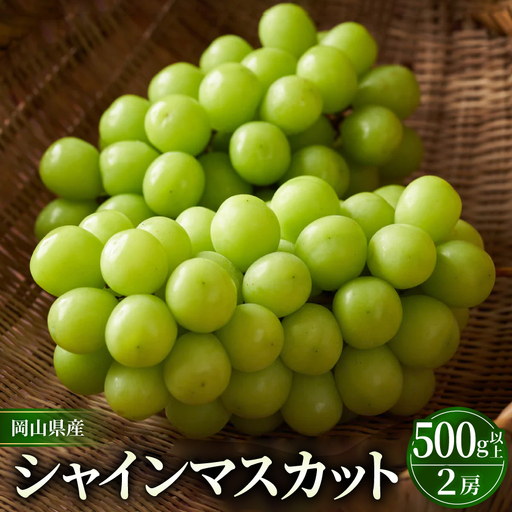 岡山市　一宮産　シャインマスカット　500g以上×2房入り　化粧箱入り【配送不可地域：離島】【1726294】