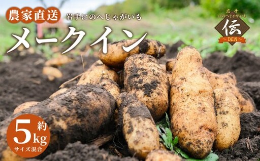 【 厳選品 】 岩手にのへじゃがいも「伝」メークイン （ サイズ混合 ） 5kg ／ じゃがいも 野菜 やさい 国産 岩手県産 二戸市産 芋類 【 2026年9月上旬～2027年2月上旬発送予定 】