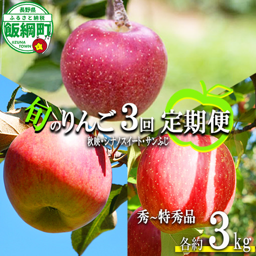 旬のりんご 【 定期便 】 秀～特秀 3kg × 3回 丸山りんご園 沖縄県への配送不可 2026年10月上旬頃から2026年12月下旬頃まで順次発送予定 令和8年度収穫分 信州 果物 フルーツ リンゴ 林檎 長野 予約 農家直送 長野県 飯綱町 [1833]