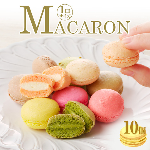 マカロン10個入（10種類）_26-345