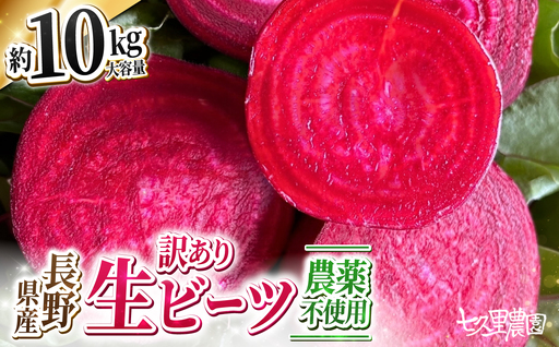 訳あり ビーツ 約10kg|長野県 飯田市