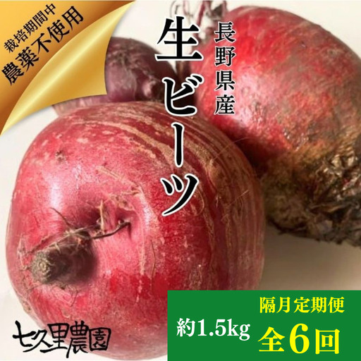 レッドパワービーツ 約1.5kg[ 隔月 6回 定期便 ]|長野県 飯田市