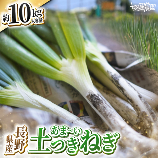 土付き ネギ 約10kg 【2026年10月～発送】｜長野県 飯田市