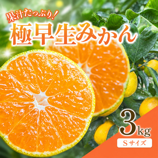 みかん3kg(Sサイズ)先行予約 果汁たっぷりの極早生 [期間限定・8/31まで] / 柑橘 フルーツ 果物 和歌山県 みかん [kjt015]