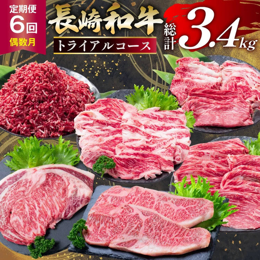 BJ669 【6回定期便】長崎和牛 トライアルコース 