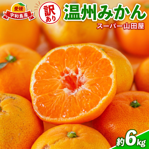 みかん 訳あり 温州みかん 約6kg スーパー山田屋 B010-198001