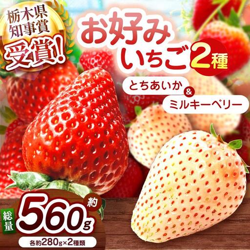 【2027年先行予約】新定番とちあいか＆白いちごミルキーベリー 食べ比べセット 560g