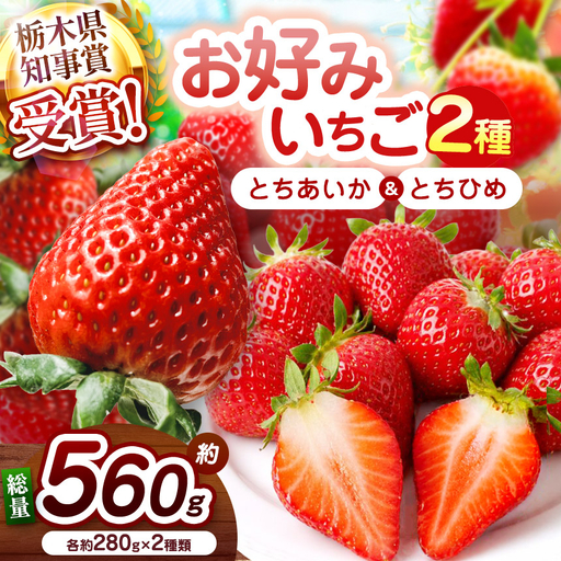 【2027年先行予約】新定番とちあいか＆幻のとちひめ 食べ比べセット 560g