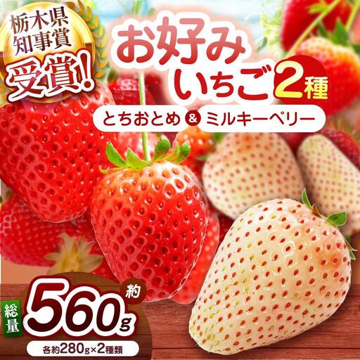 【2027年先行予約】元祖とちおとめ×白いちごミルキーベリー 食べ比べセット 560g