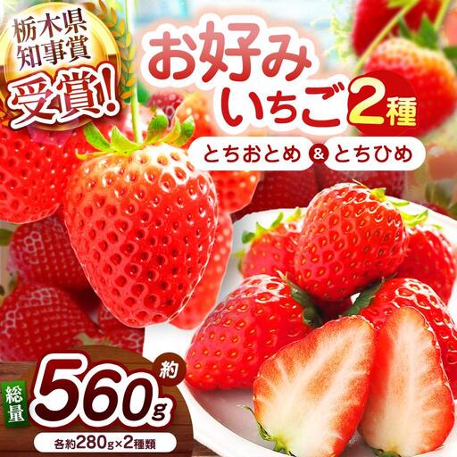【2027年先行予約】元祖とちおとめ×幻のとちひめ 食べ比べセット 560g
