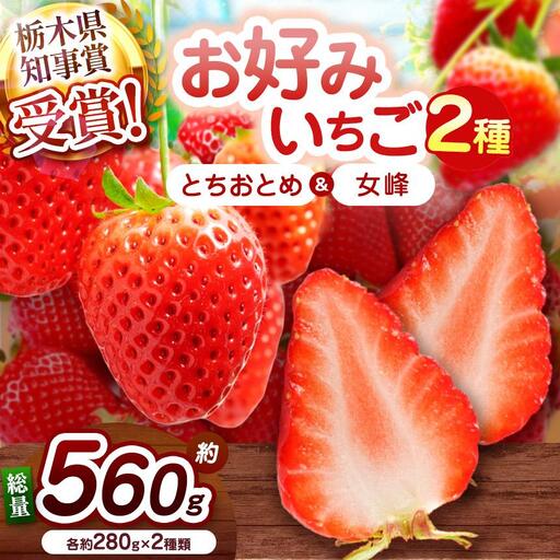【2027年先行予約】元祖とちおとめ×伝統の女峰 食べ比べセット 560g