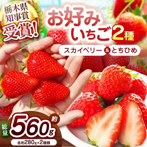 【2027年先行予約】大粒スカイベリー×幻のとちひめ 食べ比べセット 560g