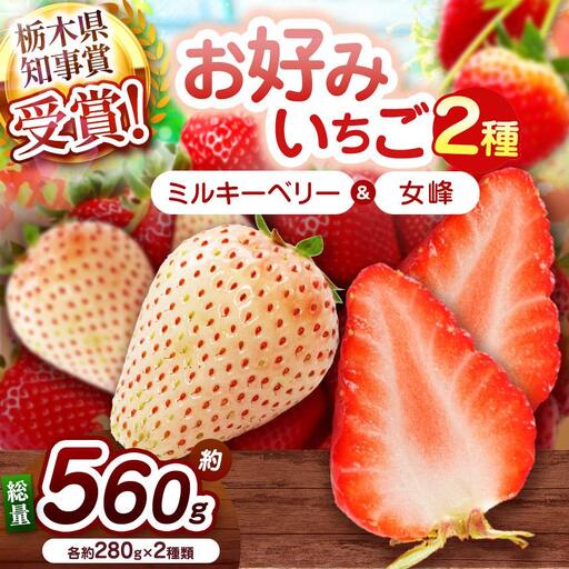 【2027年先行予約】白いちごミルキーベリー×伝統の女峰 食べ比べセット 560g