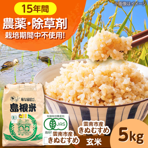 【有機JAS認証】有機栽培米きぬむすめ 5kg 令和7年産 玄米 島根県雲南市/佐藤ファーム[AIEO006]