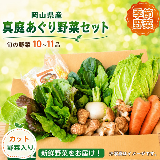 真庭あぐり野菜セット 10〜11品 便利なカット野菜入り / 産地直送 農家 お試し 岡山県 新鮮 あぐりガーデン 国産 [配送不可地域:北海道/沖縄県/離島] [jujy047-01]