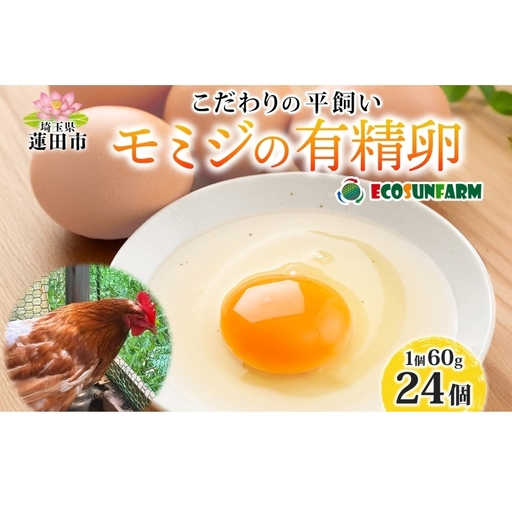 有精卵平飼いモミジエコサンファーム赤玉有精卵【24個】