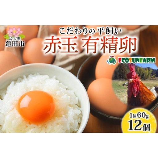 有精卵エコサンファーム 平飼い赤玉 有精卵[12個]