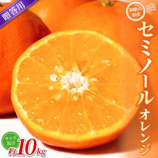 みかん 【贈答用】  セミノールオレンジ 約10kg 【BV-mrmt101A】