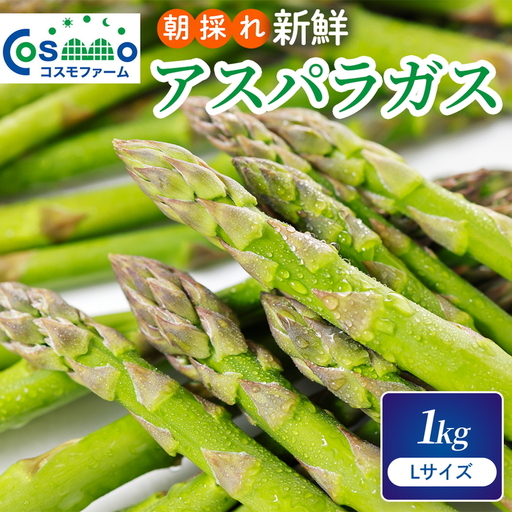 朝採り新鮮アスパラガス 1kg【Lサイズ】 | アスパラガス