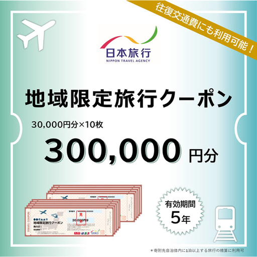 【対馬市】 日本旅行 地域限定旅行クーポン300，000円分 《対馬市》【株式会社日本旅行】[WDE005]