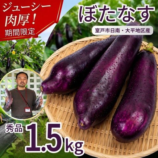 伝統野菜 ぼたなす 秀品 1.5kg | ナス