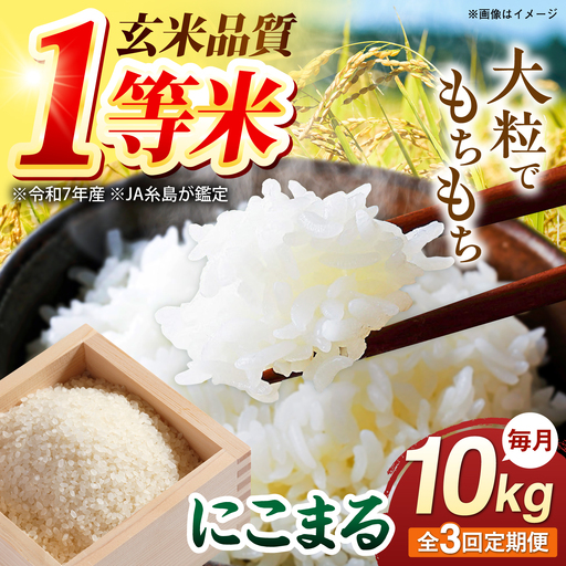 【全3回定期便】 にこまる 玄米品質1等米 白米 10kg 糸島市産 糸島市 / 糸島の恵み コメ こめ ご飯[AGR011]