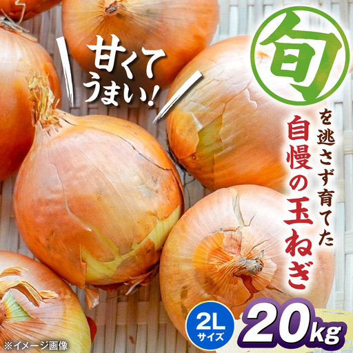 玉ねぎ20kg（2Lサイズ）[AQDZ016]玉ねぎ