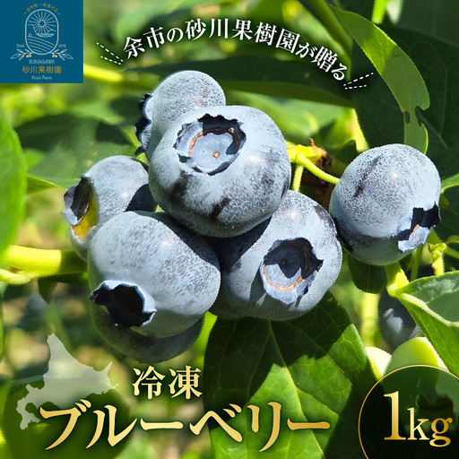 余市の砂川果樹園が贈る 冷凍ブルーベリー1Kg_Y033-0041