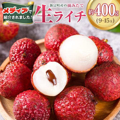 新富町産 生ライチ 約400g 9～15玉 国産 宮崎 贈答品 数量限定 B704-27
