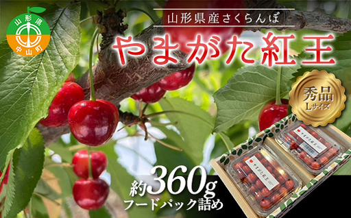 《先行予約》【令和9年産】山形県産さくらんぼ やまがた紅王 秀品 “Lサイズ” 約360g(約180g×2P) フードパック詰め サクランボ 果物 フルーツ チェリー F4A-1036