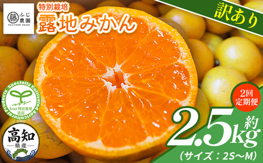[2回定期便]ふじ農園の露地みかん 訳あり品 2.5kg(2S〜M) みかん Wfn-0019