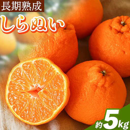 長期熟成 しらぬい 約5kg (18-28個)  不知火