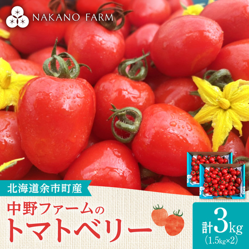 【7月上旬発送】余市町 中野ファーム トマトベリー 3kg トマト_Y026-0015