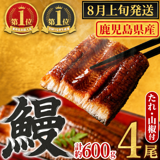 【0204348a-2608】＜8月上旬発送予定＞東串良町のうなぎ蒲焼(無頭)(4尾・計約600g・タレ、山椒付) うなぎ 高級 ウナギ 鰻 国産 蒲焼 蒲焼き たれ 鹿児島 ふるさと 人気 【アクアおおすみ】