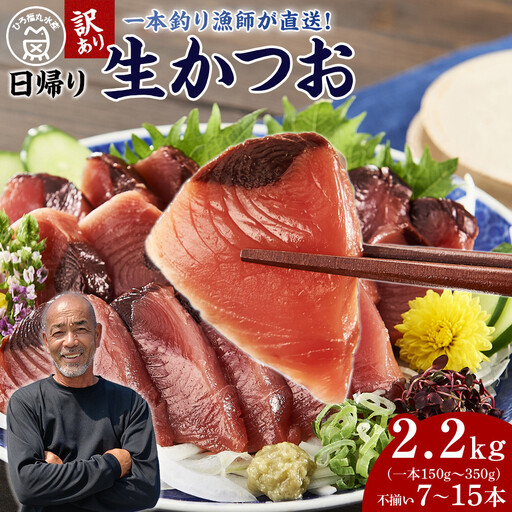 かつお一本釣り漁師が直送！ 日帰り生かつお 訳あり 2.2kg入