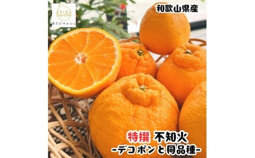 【先行予約】特選 濃厚 不知火 (通称デコポン) 10kg+200g(痛み補償分)※着日指定不可【ard260】 