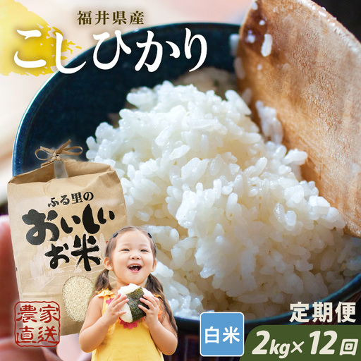 先行予約 定期便 12ヶ月連続お届け コシヒカリ 2kg (1袋) × 12回 計24kg 白米 ブランド米 2026年10月上旬以降順次発送 [F-8914]