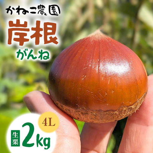 生栗 2kg 4Lサイズ 岸根 栗 クリ くり 茨城県 笠間市 JO-017
